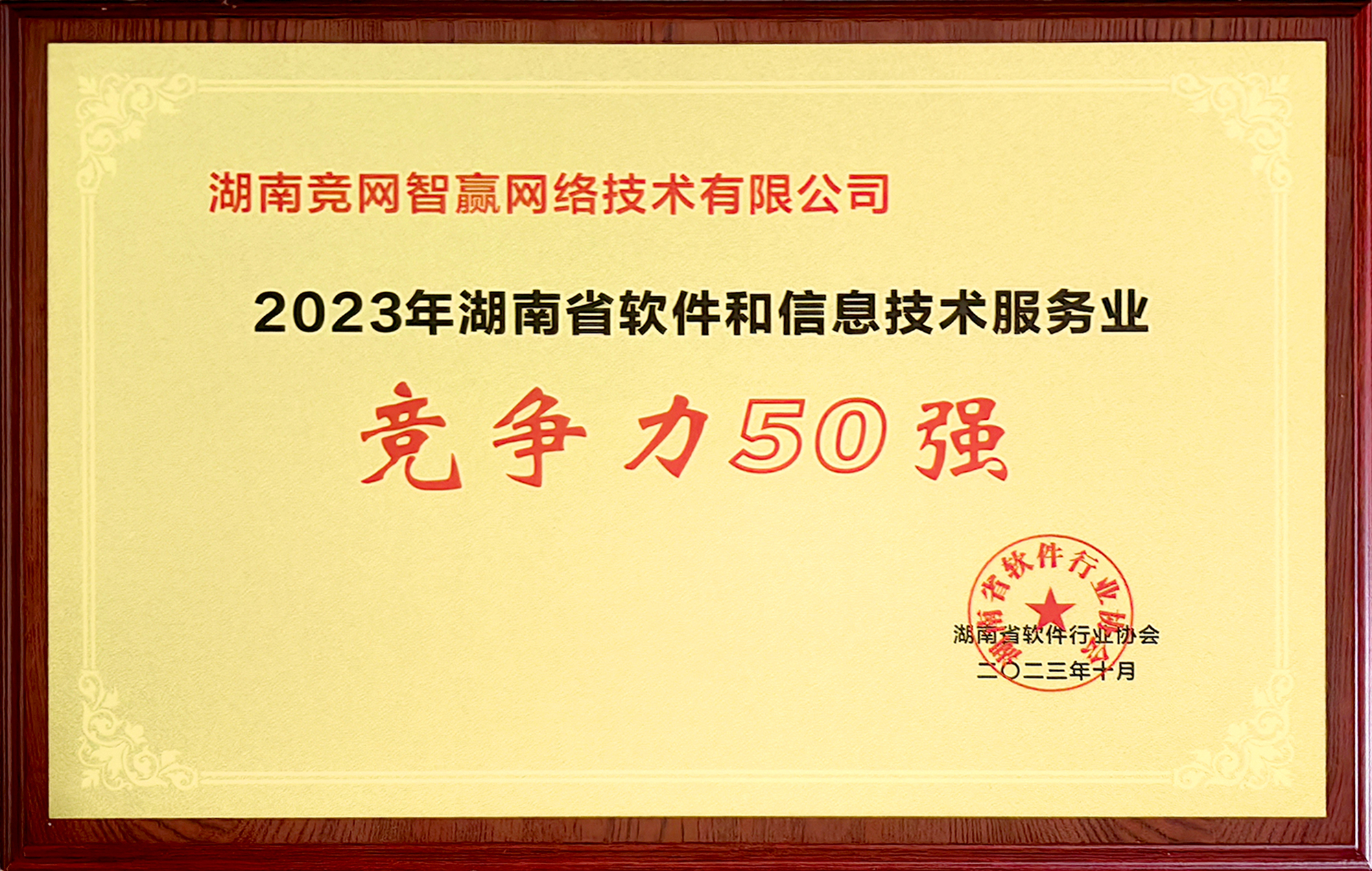 2023年湖南省软件和信息技术服务业竞争力50强