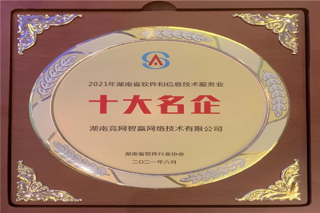 竞网喜获2021年湖南软件名企，再次登榜软件和信息技术服务业50强