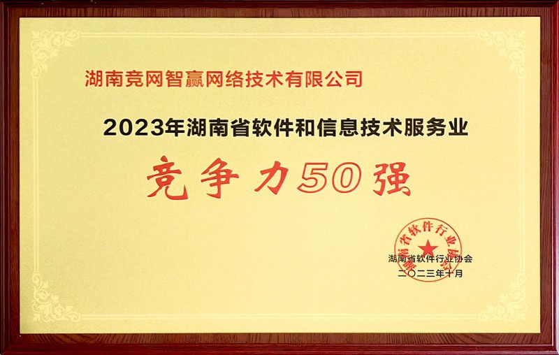 如何選擇AI搜索服務(wù)公司：湖南競網(wǎng)智贏深度剖析