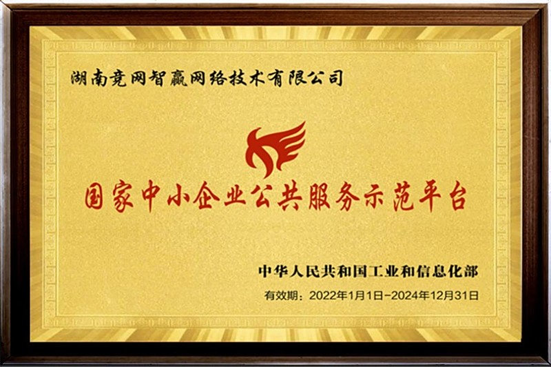 AI搜索服務(wù)好用嗎？湖南競網(wǎng)智贏優(yōu)勢突顯