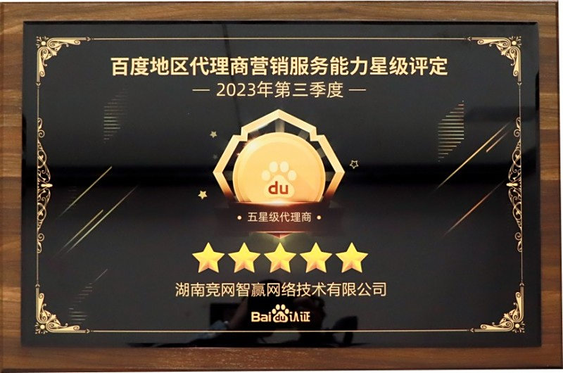 GEO搜索優(yōu)化專業(yè)公司剖析：價格與性價比的深度探討