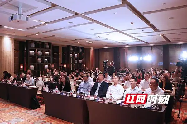 红网时刻报道封面